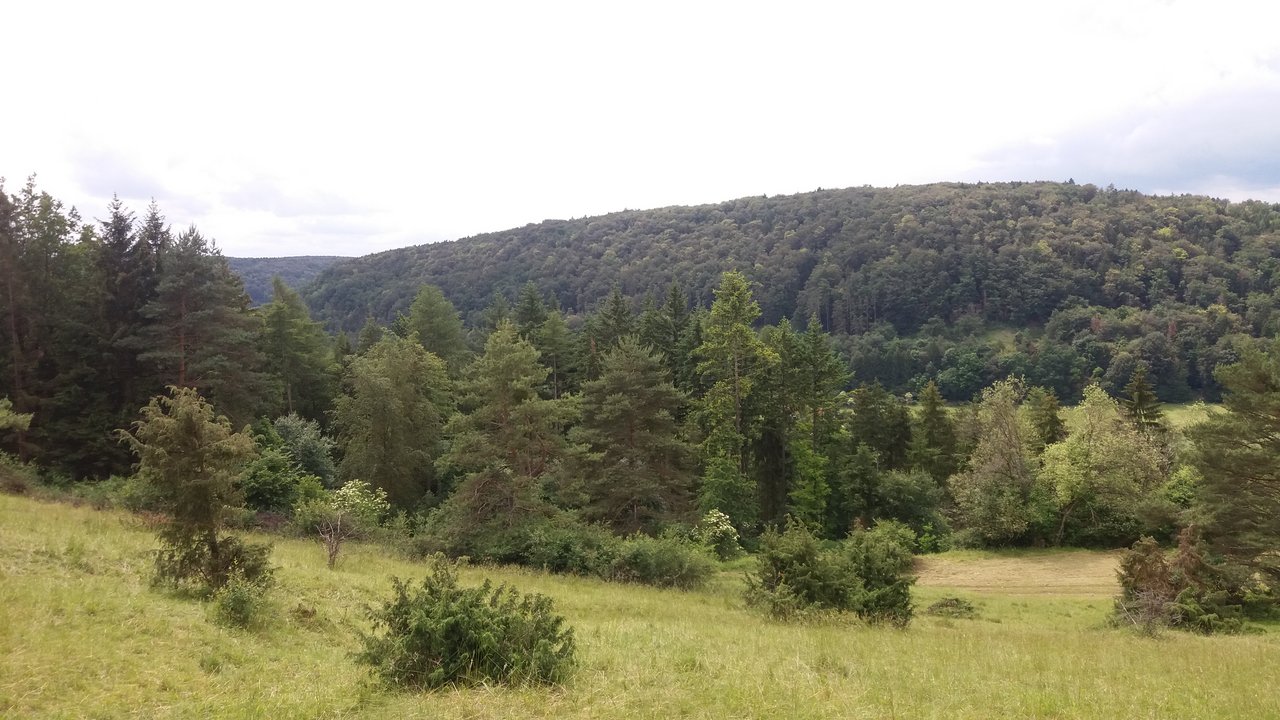 Heimatlandschaft.jpg