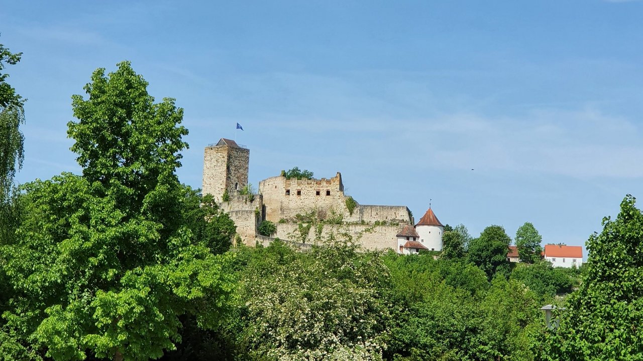 S._22__Burg_Pappenheim.jpg