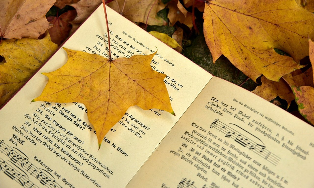 Foto_Noten_Herbstlaub.jpg
