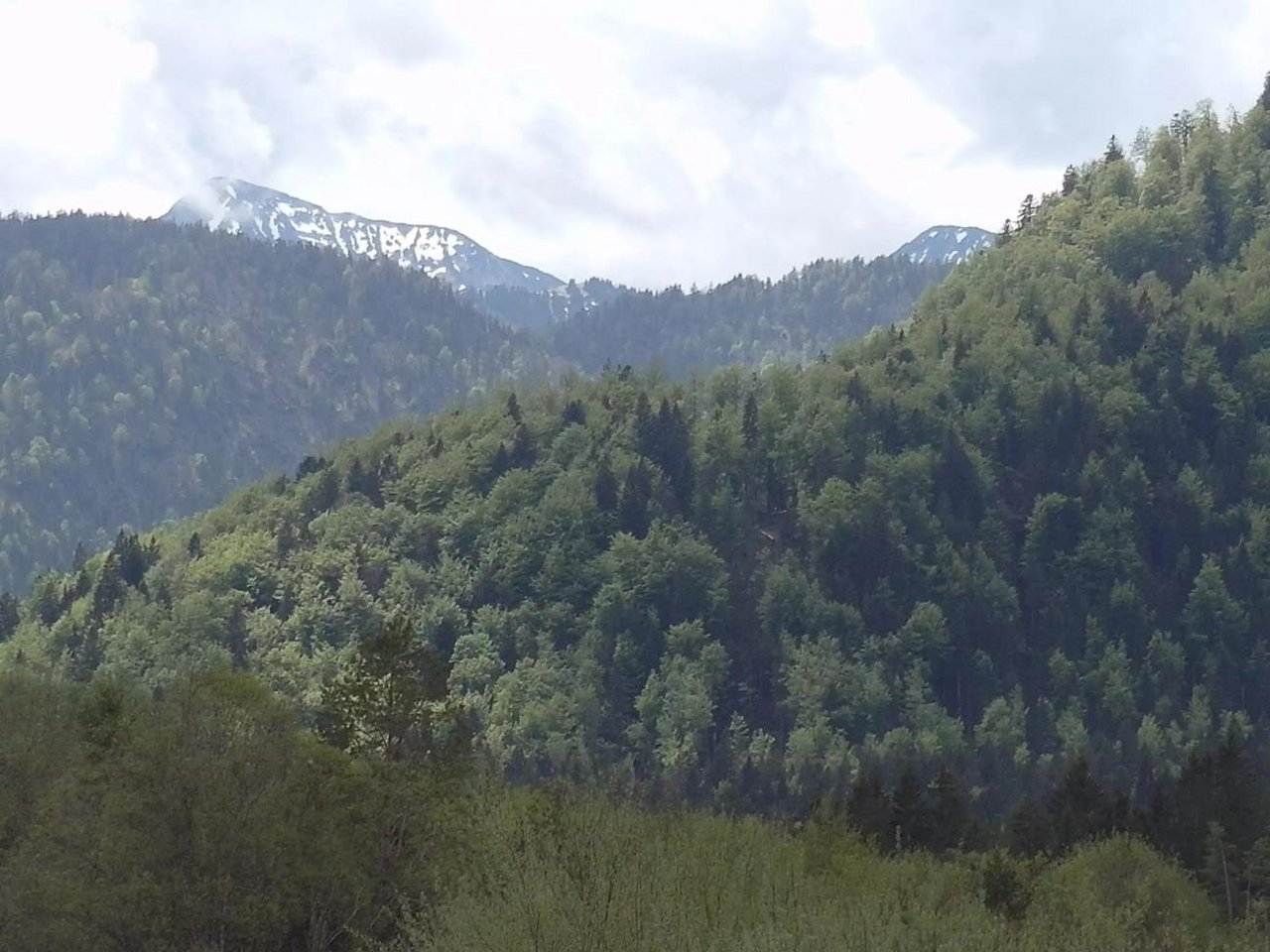 fruehling-in-den-bergen_1_.jpg