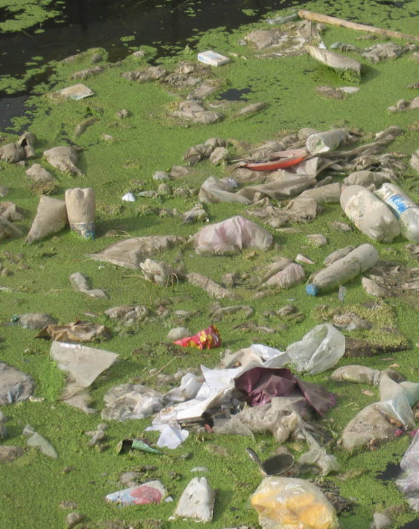 Der Weg der Plastiktüte (Quelle: Dr. H. Frommert_pixelio.de)
