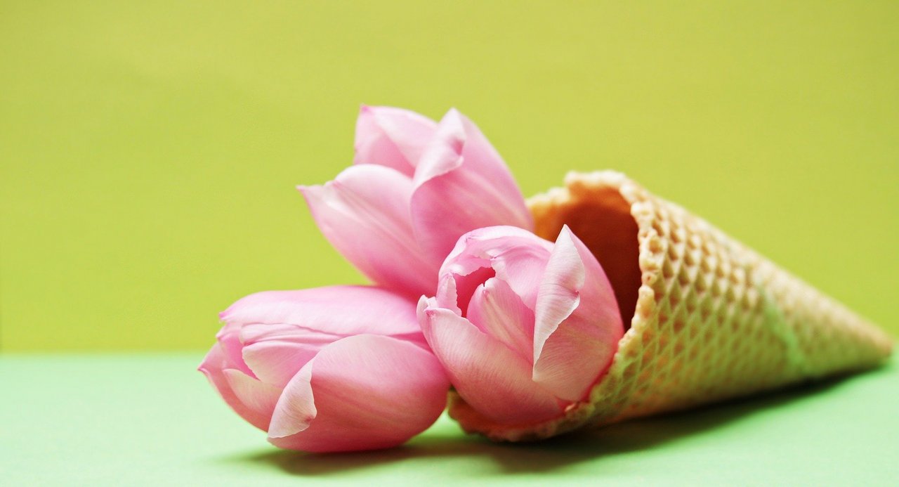 Tulpen_Eis_Quelle_Pixaybay.com.jpg