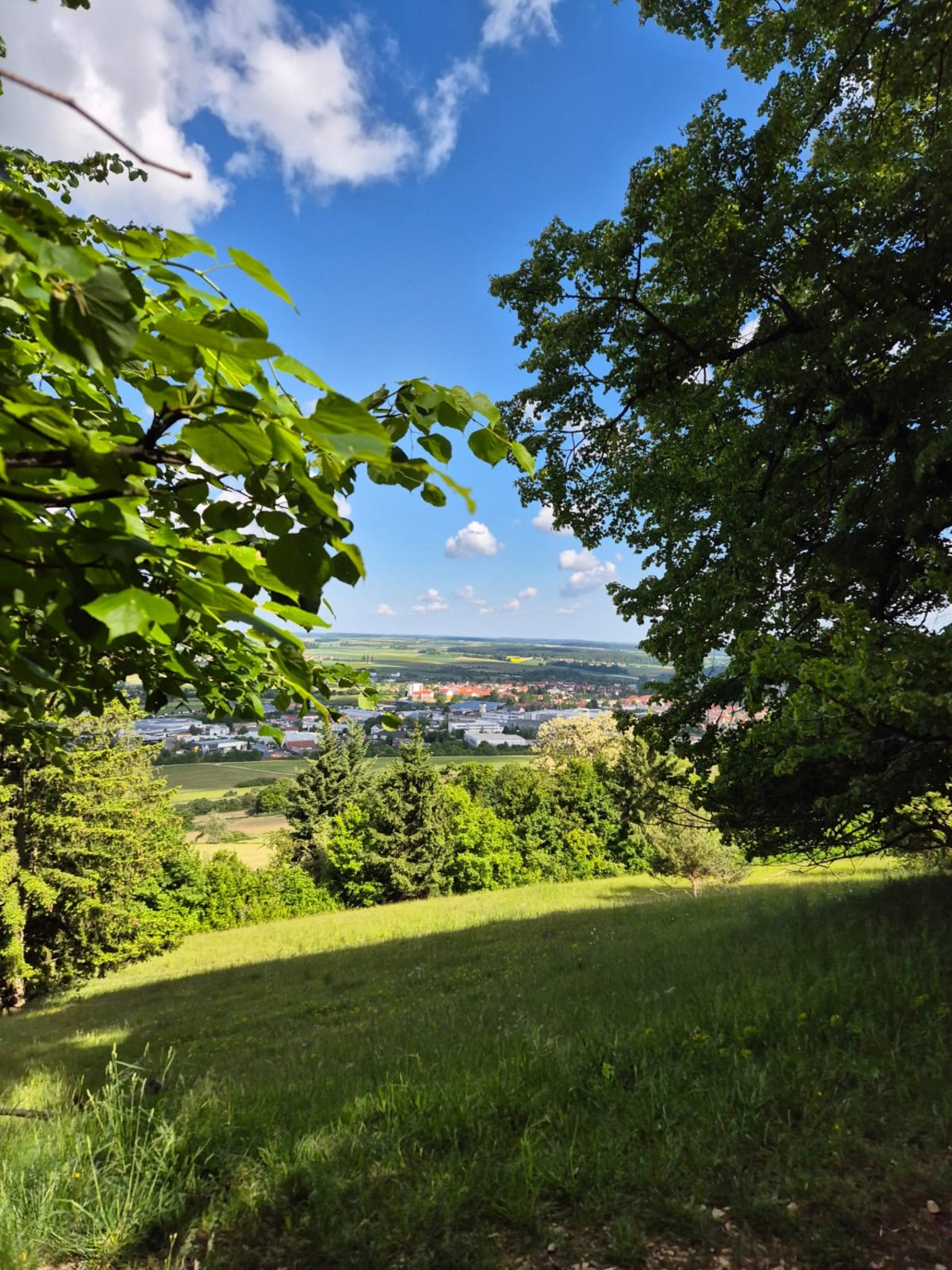 Pilgerweg_landschaft.jpg