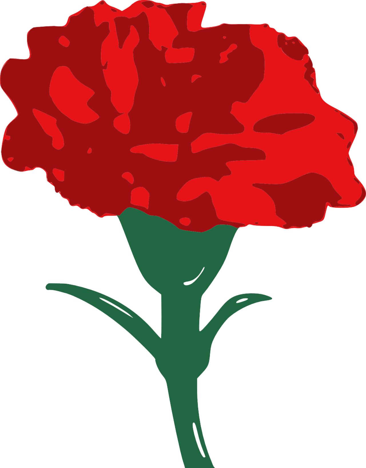Rote_Nelke__pixabay.png