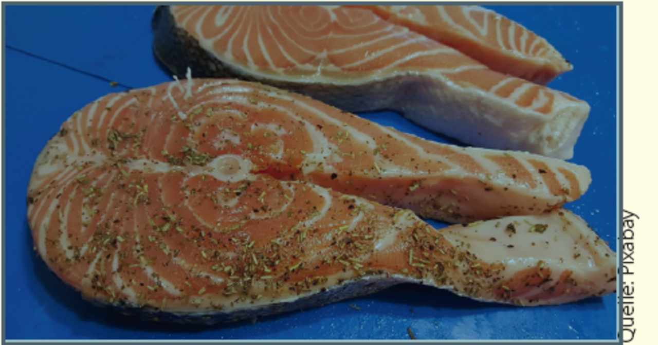 gebratener_Lachs.PNG