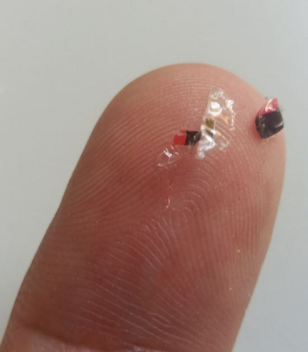 Fingerkuppe3.JPG