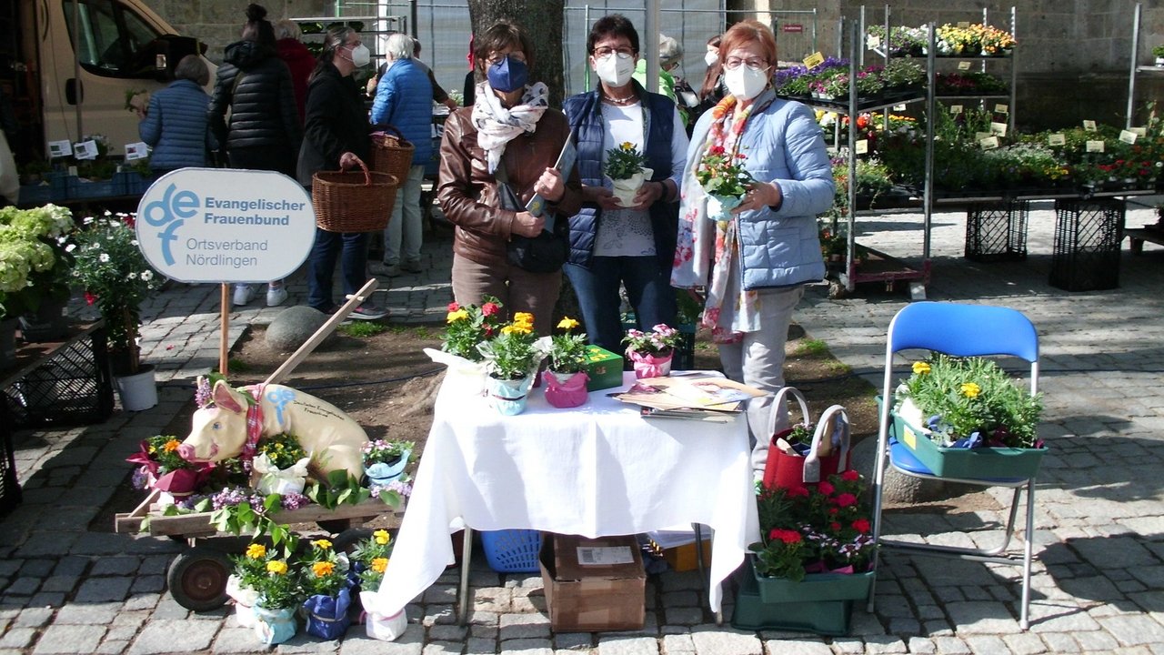 Noerdlingen_Blumenaktion_Mai_2021-1.JPG