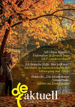 DEF-aktuell-2017-03-web.pdf