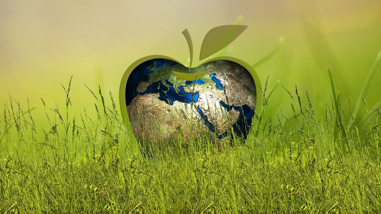 Apfel__Erde__Gerd_Altmann_auf_Pixabay.jpg