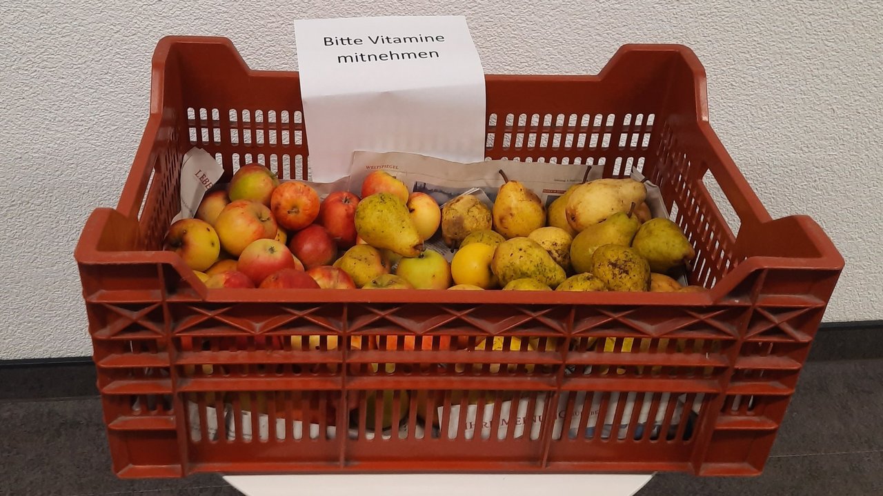 2023__13.9.__Vitamine_zu_verschenken.jpg
