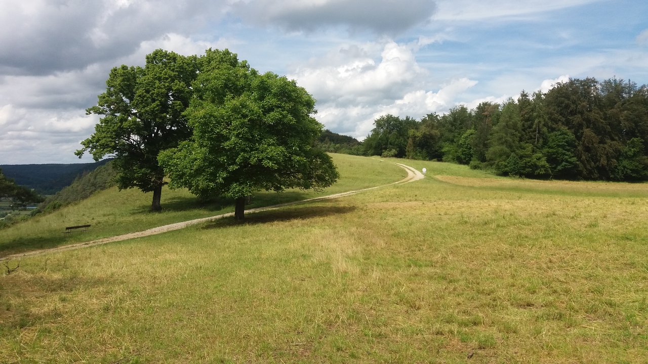 20160614_150620.jpg