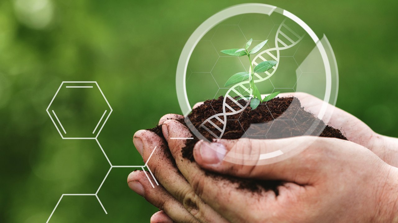 Gentechnik__Landwirtschaft__Quelle_AdobeStock_514775229.jpeg