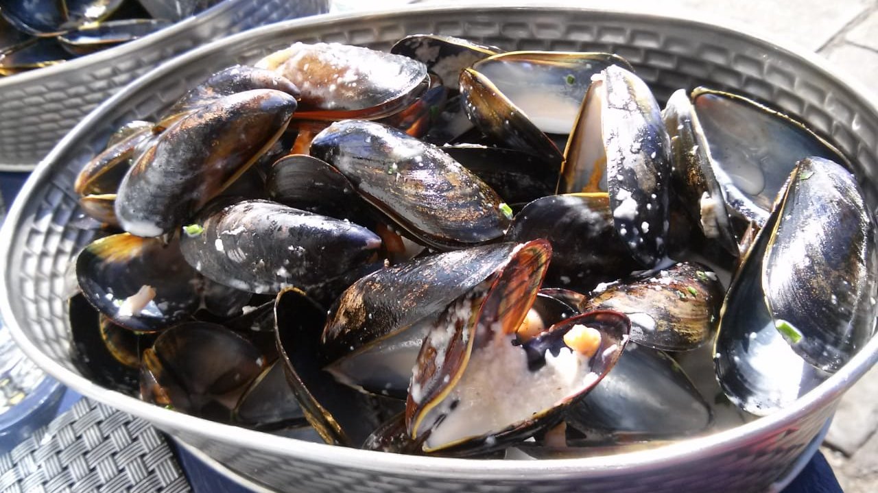 SimoneMarquisMuscheln.jpg