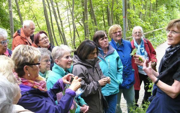 Für alles ist ein Kraut gewachsen - Frühjahrsseminar der AEH in Pappenheim