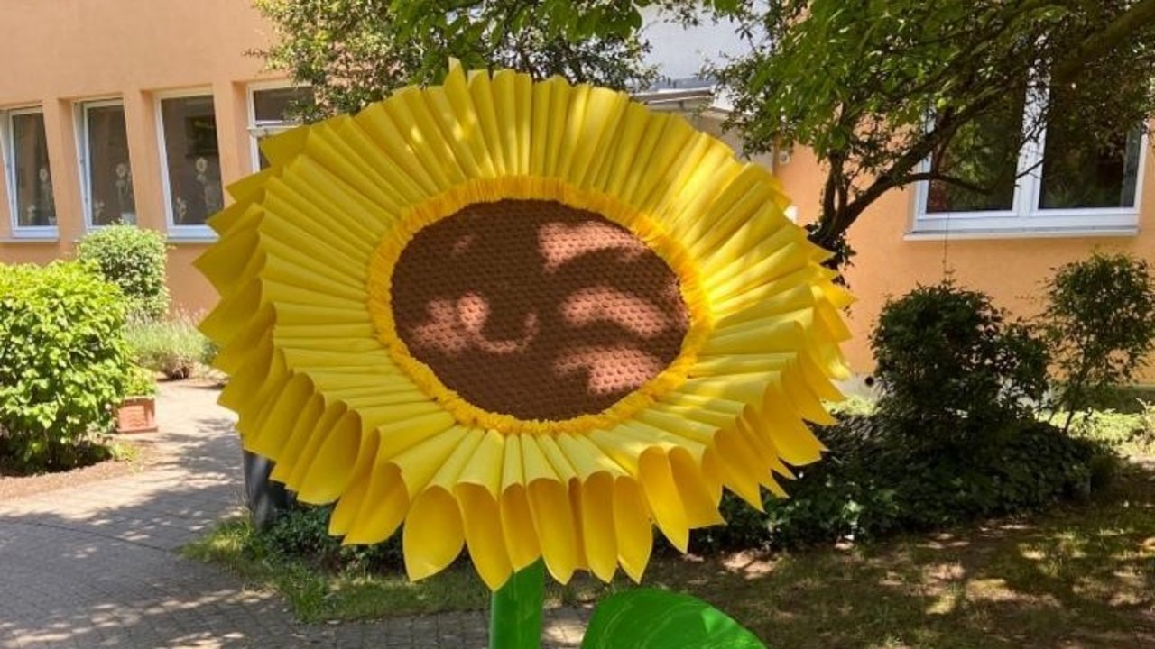 Sonnenblume_quer.jpg