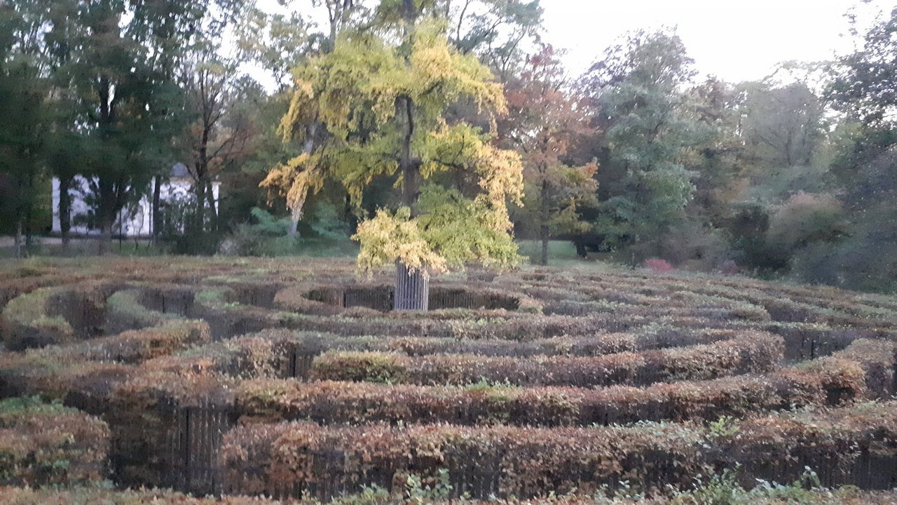 2020__Oktober__Irrgarten.jpg