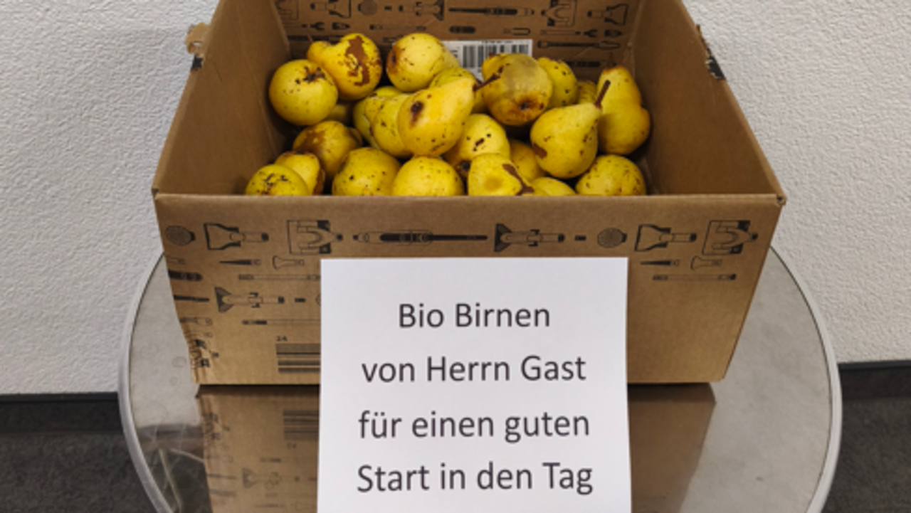 2026__16.9.__Birneniste.png