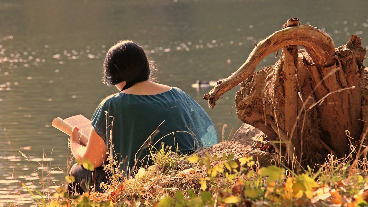 Frau__lesen__Altweibersommer__Quelle_pixabay.com.jpg