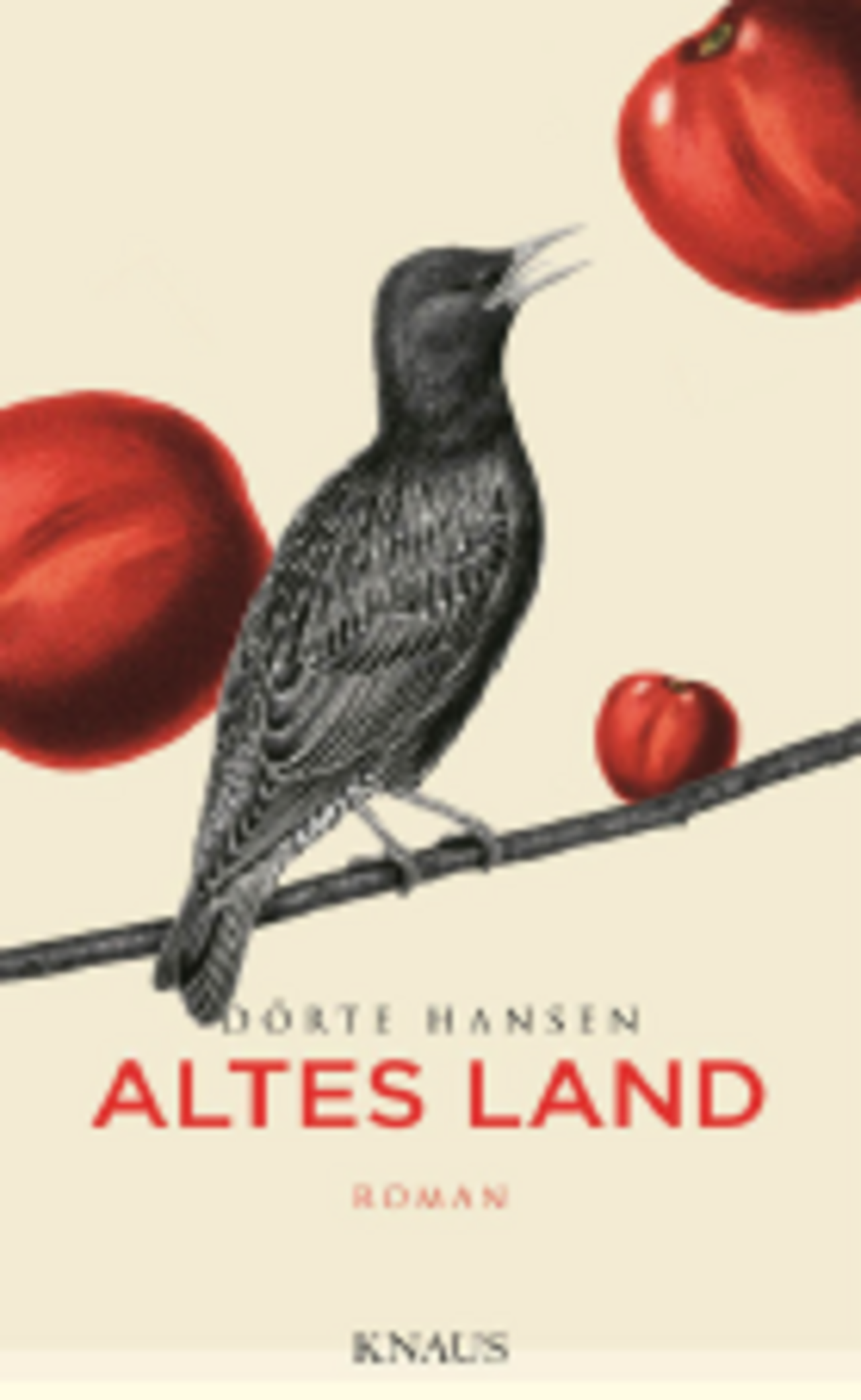 AltesLand.PNG