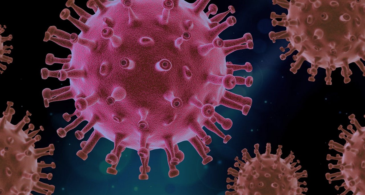 Corona-Virus__Bild_von_PIRO4D_auf_Pixabay.jpg