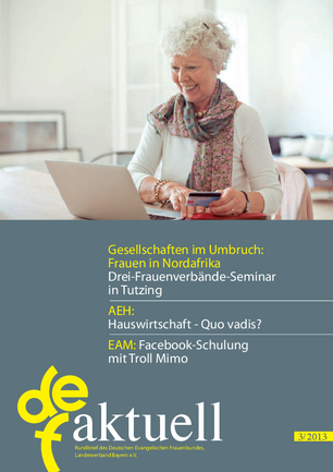 DEF-aktuell-2013-03-web.pdf