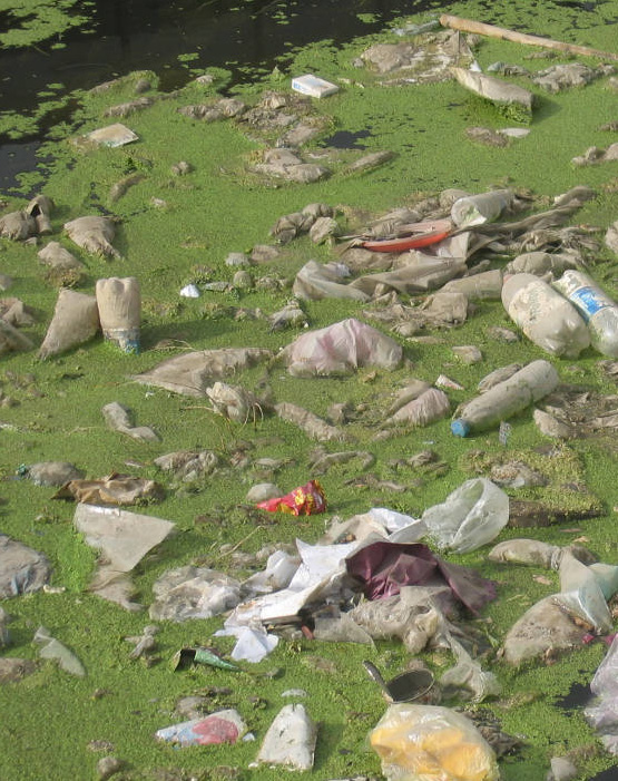 Der Weg der Plastiktüte (Quelle: Dr. H. Frommert_pixelio.de)